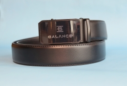 Brenson automata öv